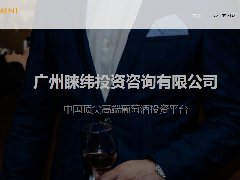 广州睐纬投资咨询有限公司版